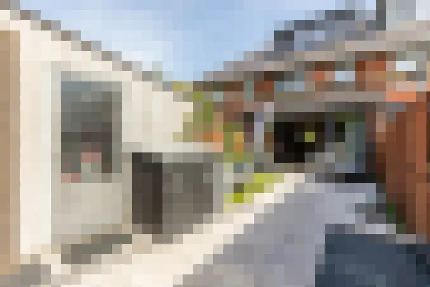 Francis Picabiastraat 55 Rotterdam thumbnail 23