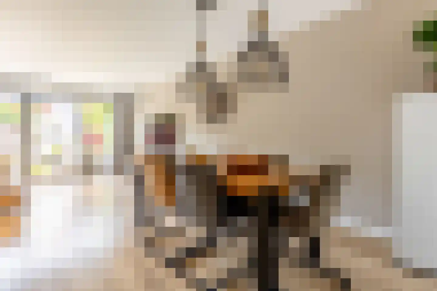 Francis Picabiastraat 55 Rotterdam thumbnail 25