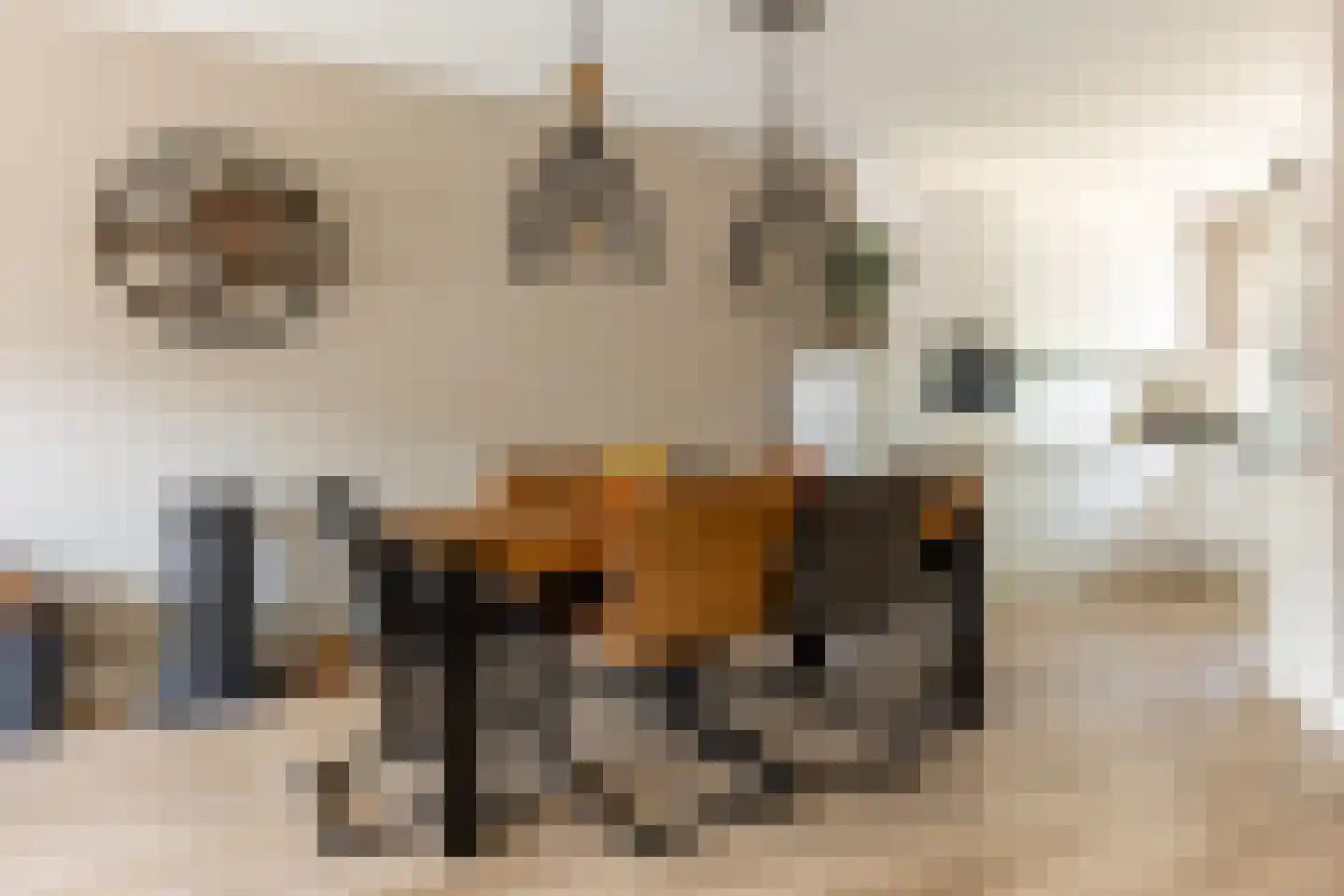 Francis Picabiastraat 55 Rotterdam thumbnail 26