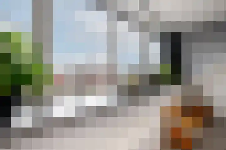 Francis Picabiastraat 55 Rotterdam thumbnail 28