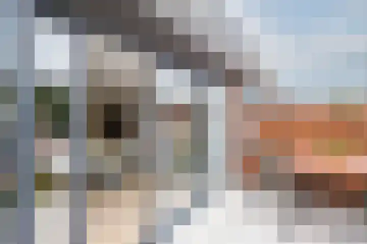 Francis Picabiastraat 55 Rotterdam thumbnail 31