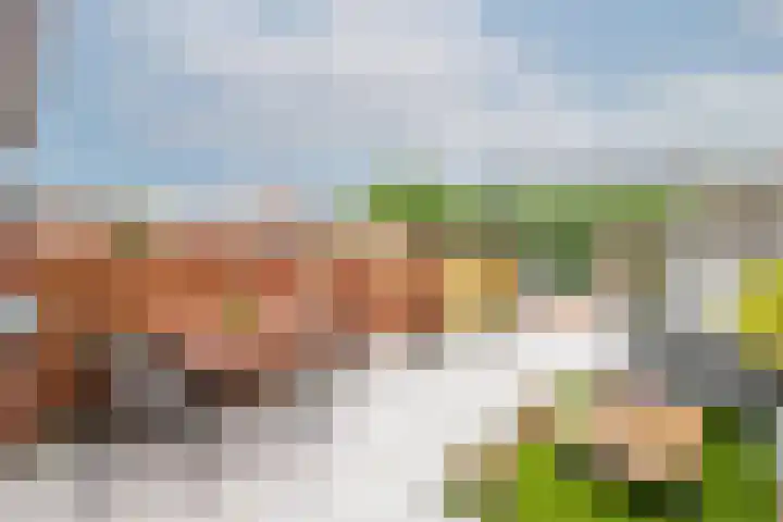 Francis Picabiastraat 55 Rotterdam thumbnail 32