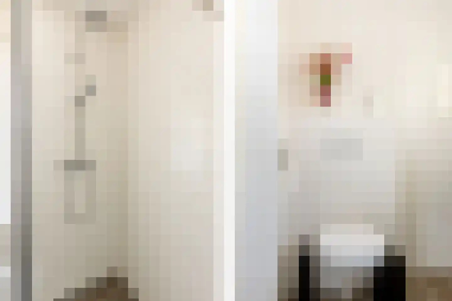 Francis Picabiastraat 55 Rotterdam thumbnail 38