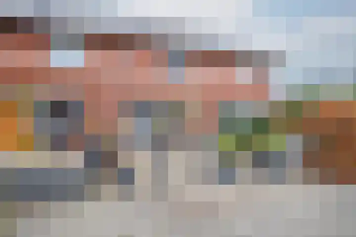 Francis Picabiastraat 55 Rotterdam thumbnail 40