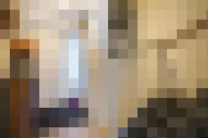 Francis Picabiastraat 55 Rotterdam thumbnail 5