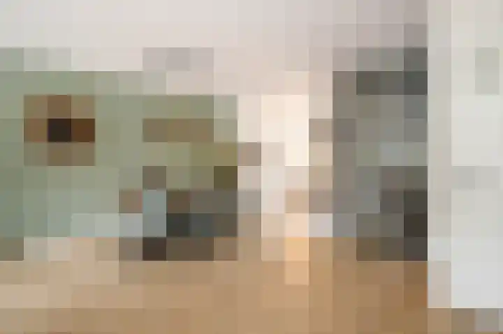 Francis Picabiastraat 55 Rotterdam thumbnail 6