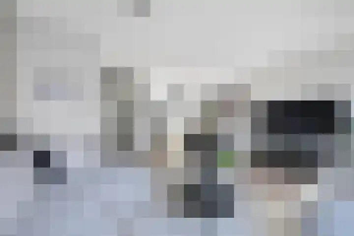 Francis Picabiastraat 71 Rotterdam thumbnail 10