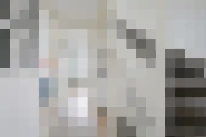 Francis Picabiastraat 71 Rotterdam thumbnail 17