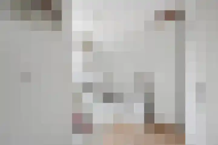 Francis Picabiastraat 71 Rotterdam thumbnail 23