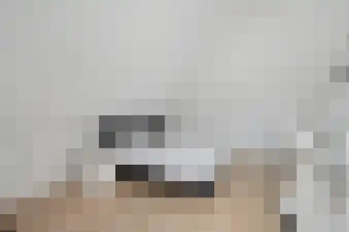 Francis Picabiastraat 71 Rotterdam thumbnail 27