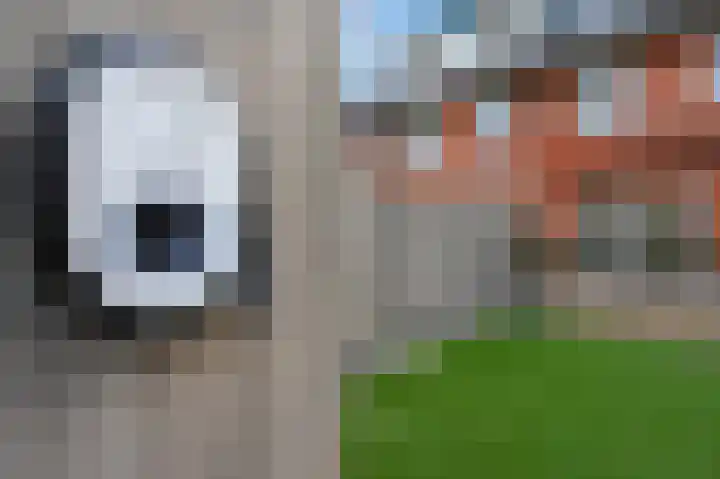 Francis Picabiastraat 71 Rotterdam thumbnail 35