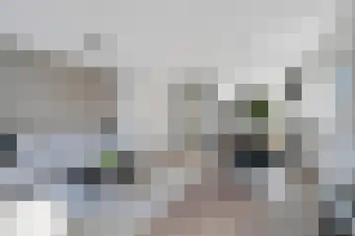 Francis Picabiastraat 71 Rotterdam thumbnail 9