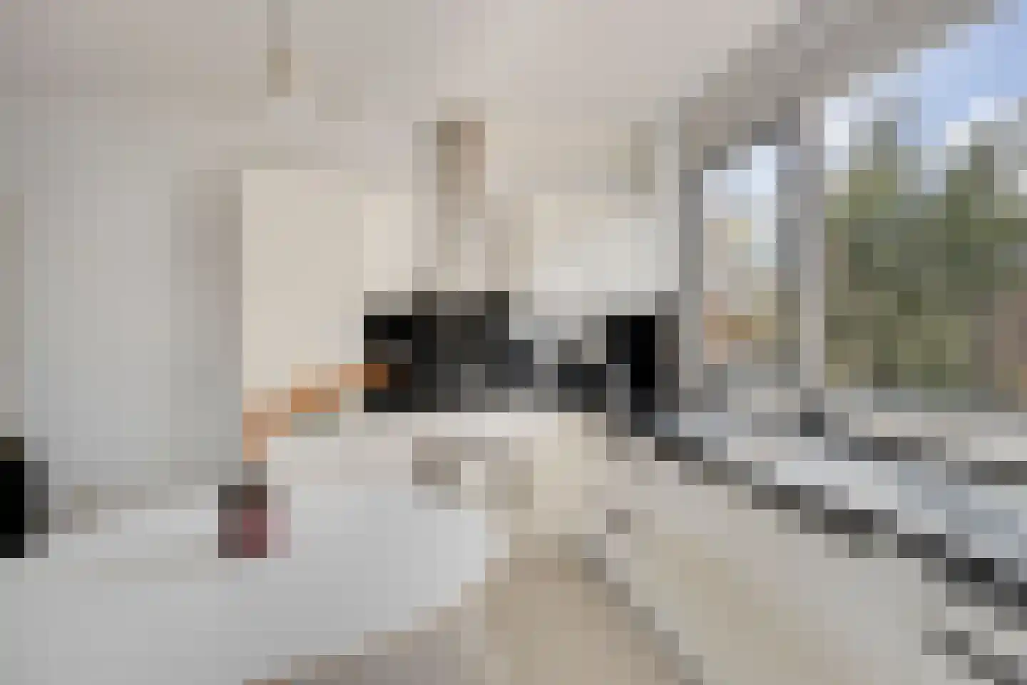 Francis Picabiastraat 81 Rotterdam thumbnail 10