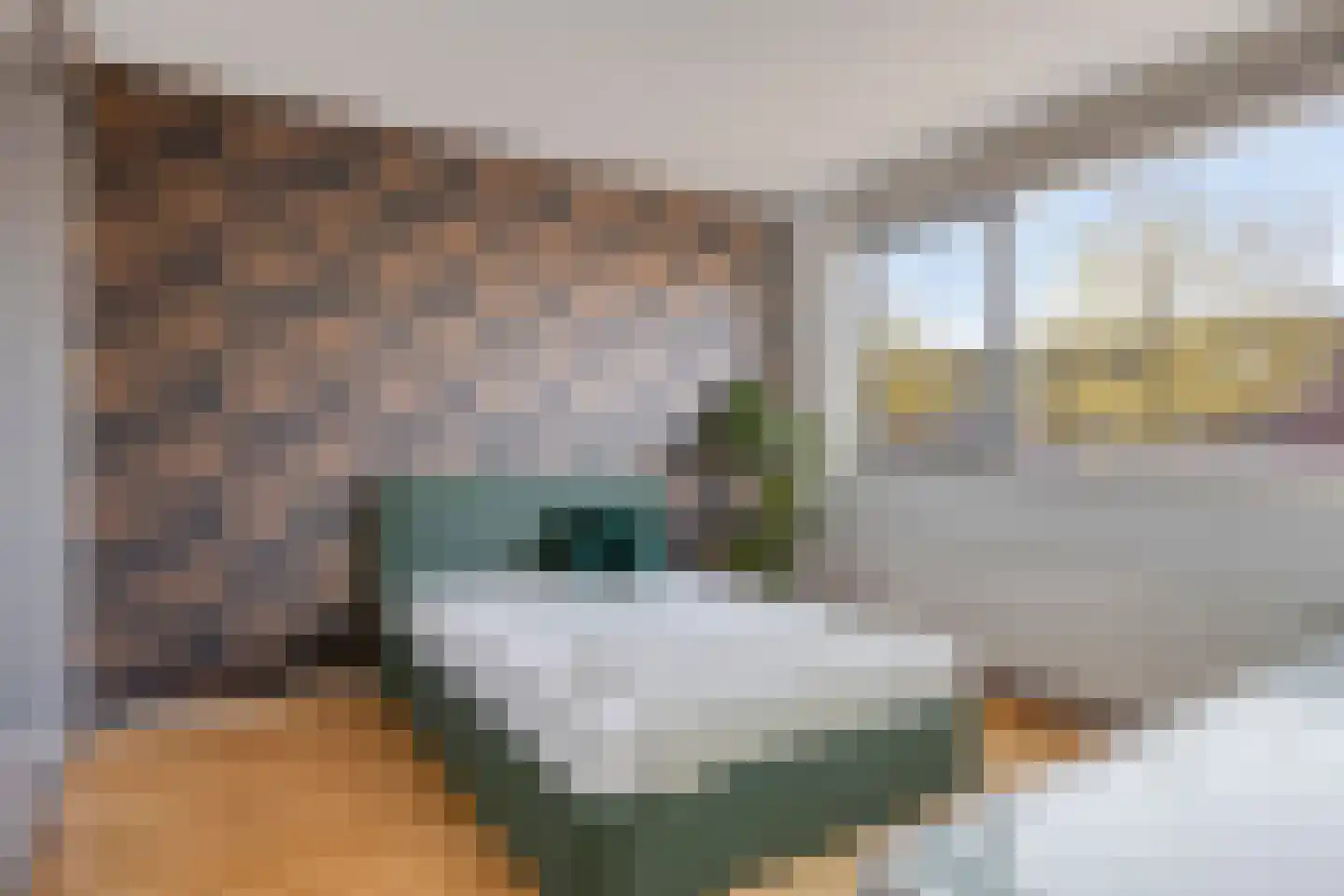 Francis Picabiastraat 81 Rotterdam thumbnail 14
