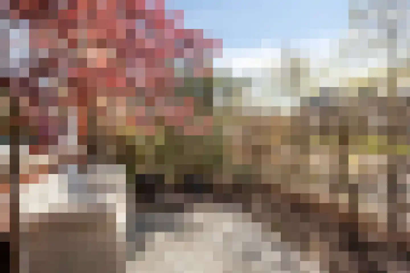 Francis Picabiastraat 81 Rotterdam thumbnail 30