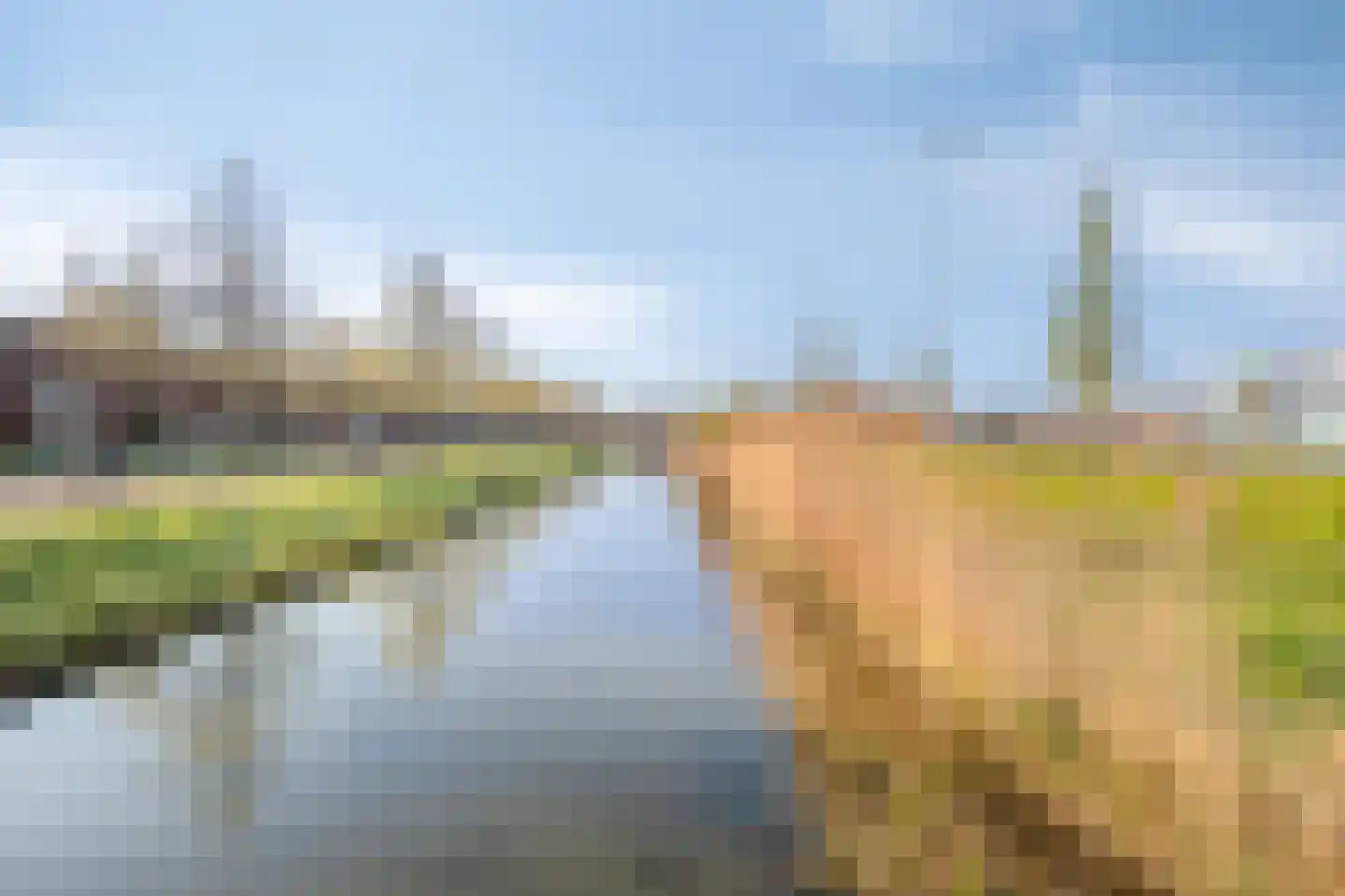 Francis Picabiastraat 81 Rotterdam thumbnail 36