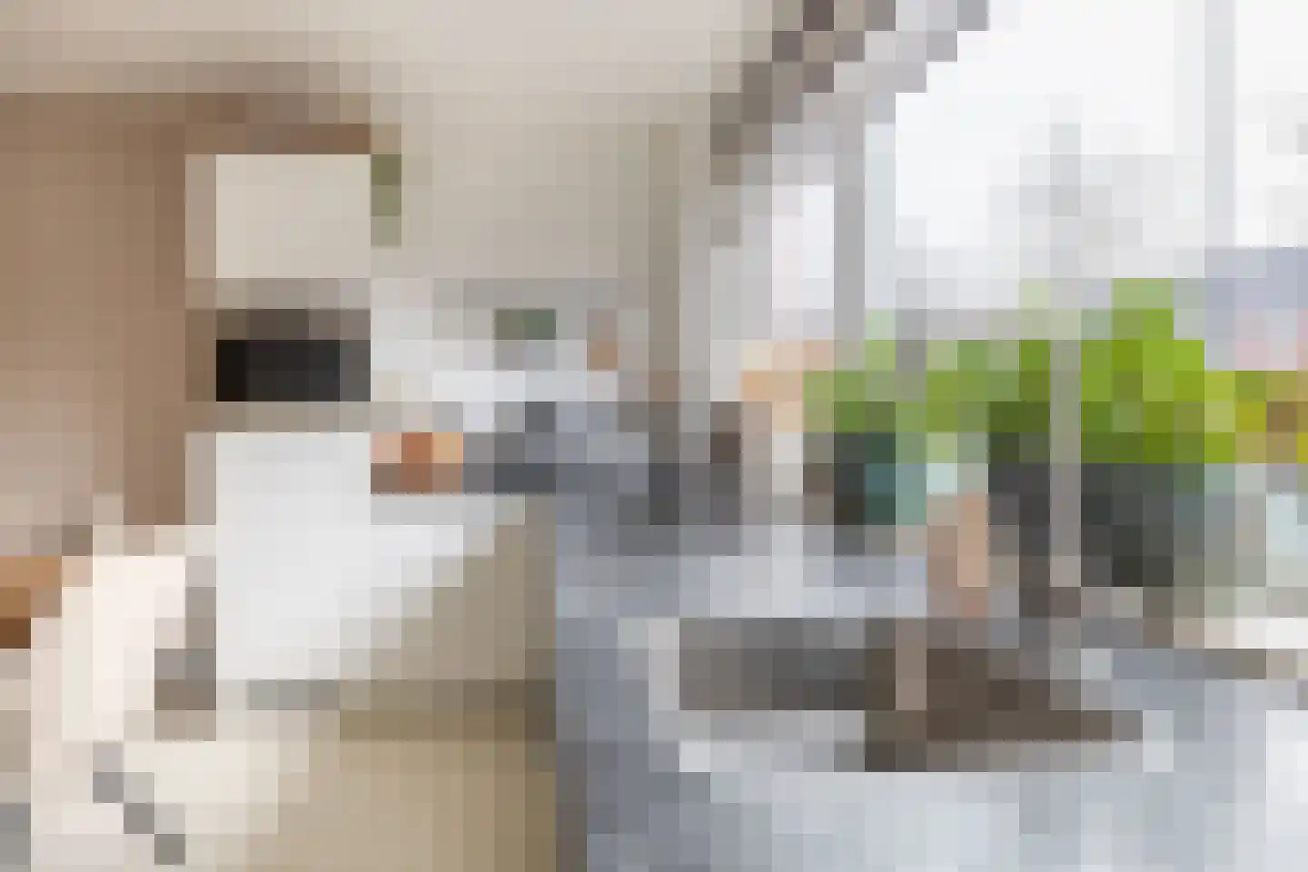 Francis Picabiastraat 85 Rotterdam thumbnail 10
