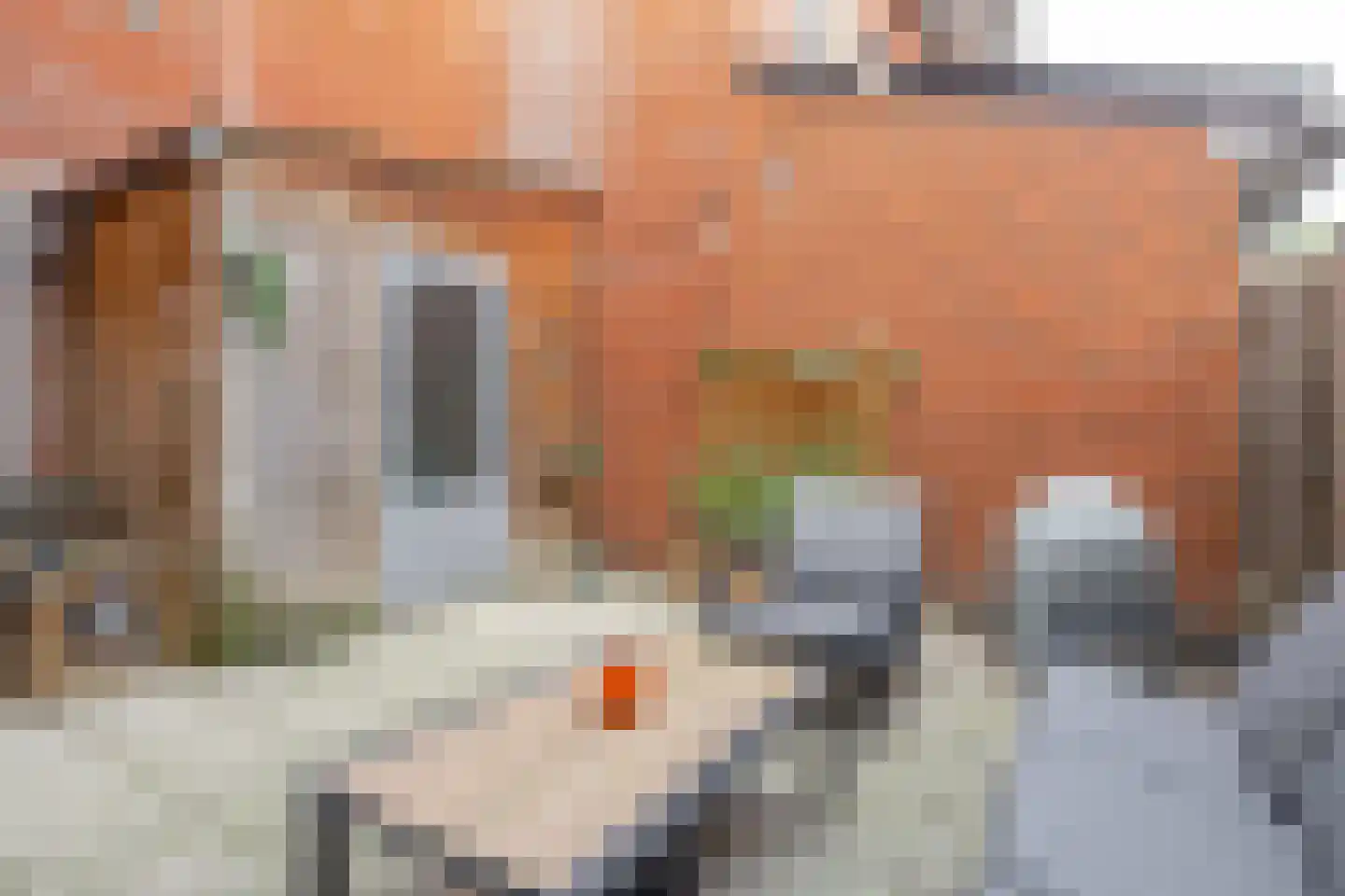 Francis Picabiastraat 85 Rotterdam thumbnail 16