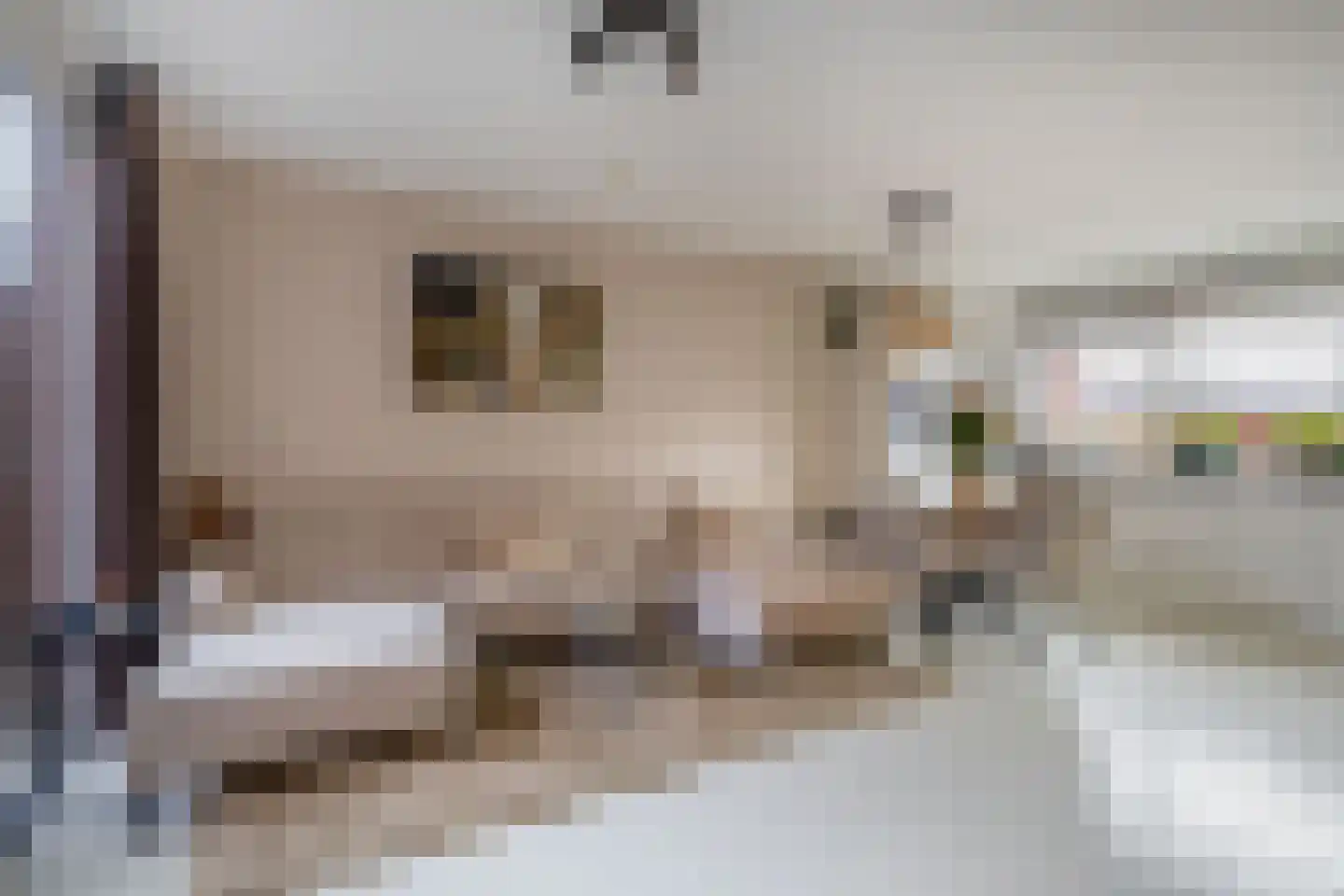 Francis Picabiastraat 85 Rotterdam thumbnail 5
