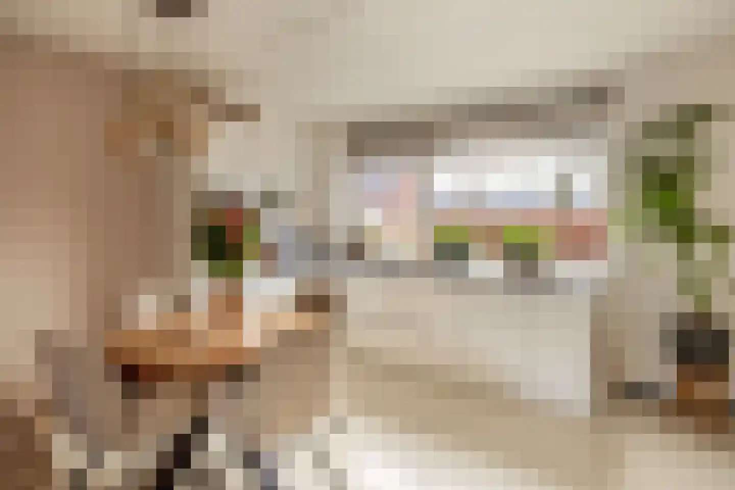 Francis Picabiastraat 85 Rotterdam thumbnail 9