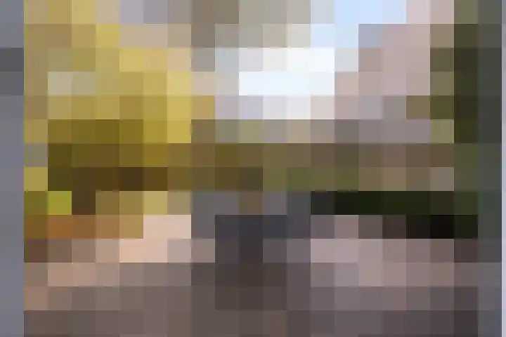 Francisca Hoeve 26 Gouda thumbnail 20