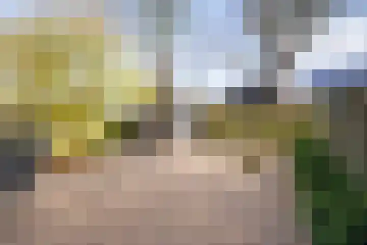 Francisca Hoeve 26 Gouda thumbnail 24