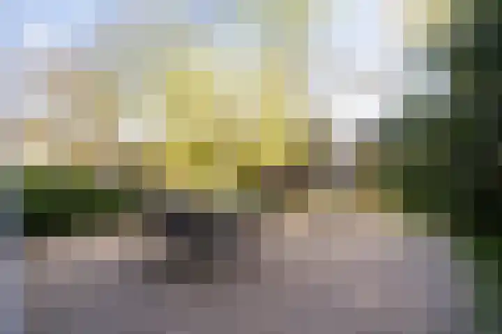 Francisca Hoeve 26 Gouda thumbnail 4