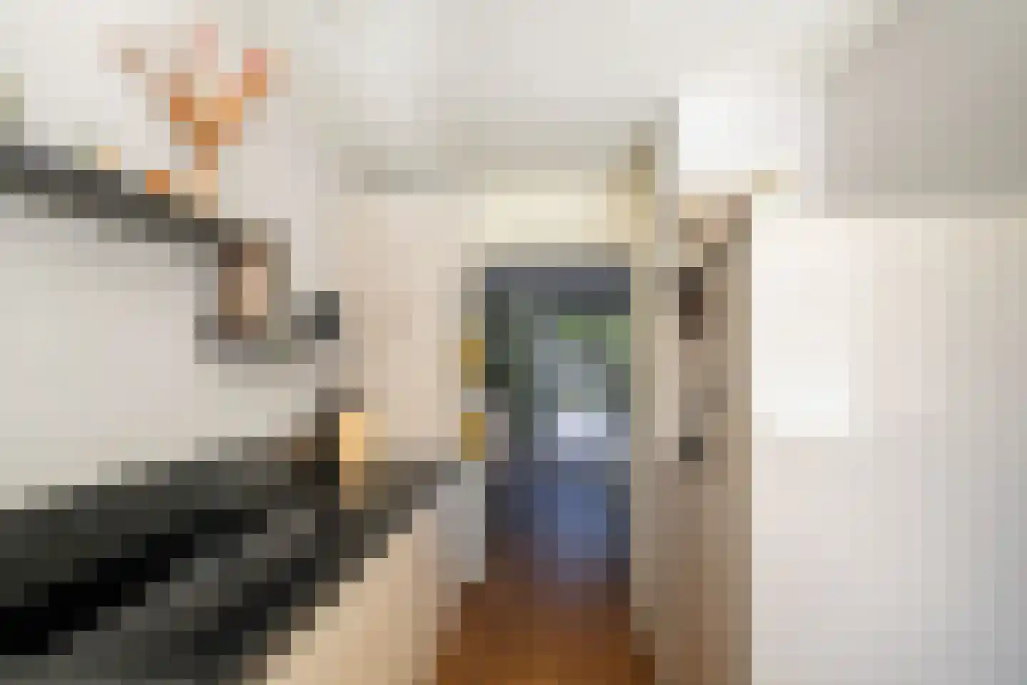 Franciscahof 7 Vlaardingen thumbnail 18