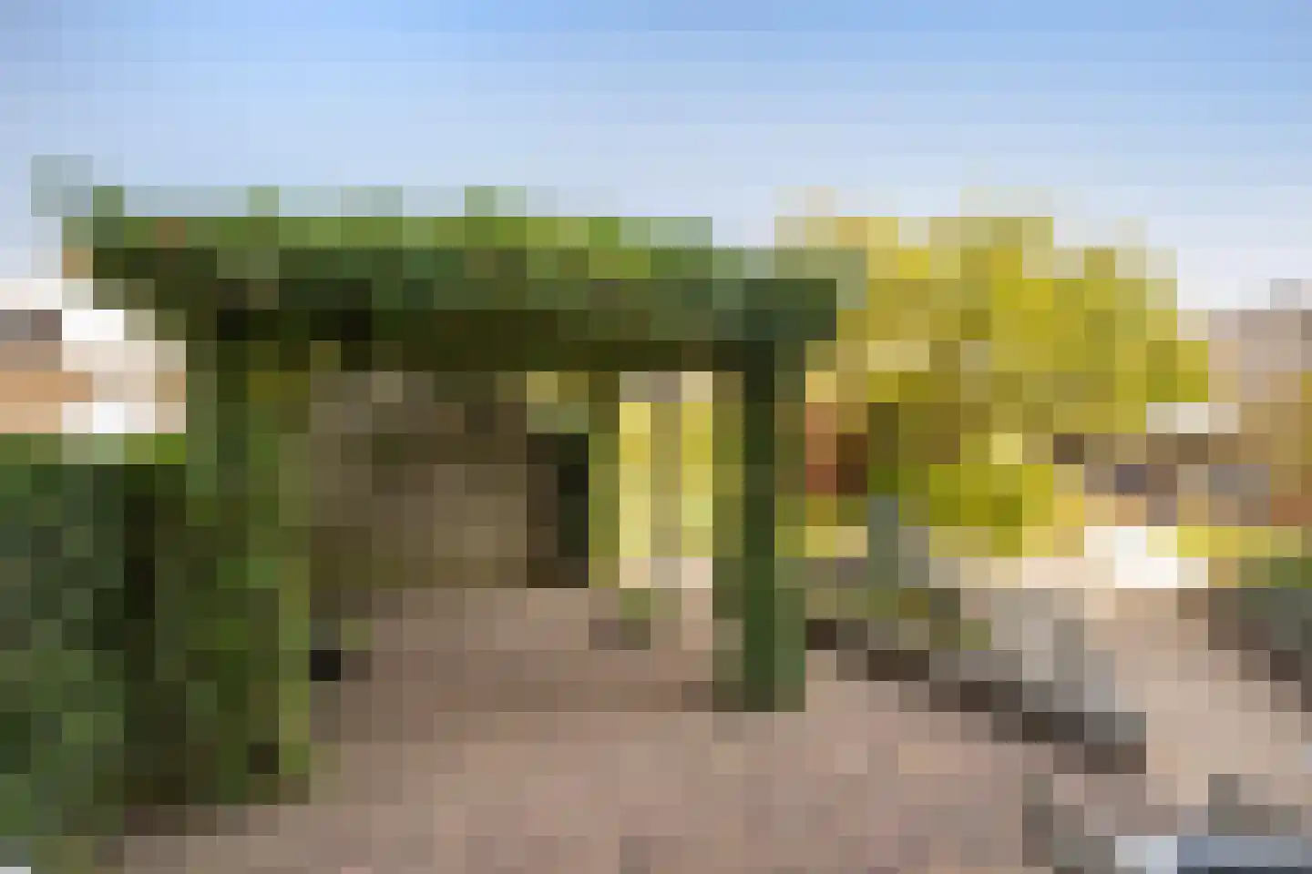 Franciscahof 7 Vlaardingen thumbnail 19