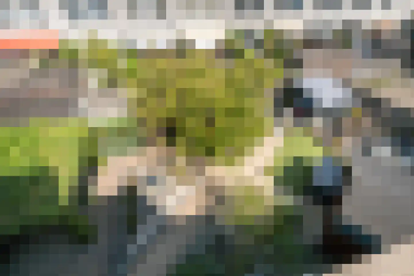 Franciscahof 7 Vlaardingen thumbnail 29