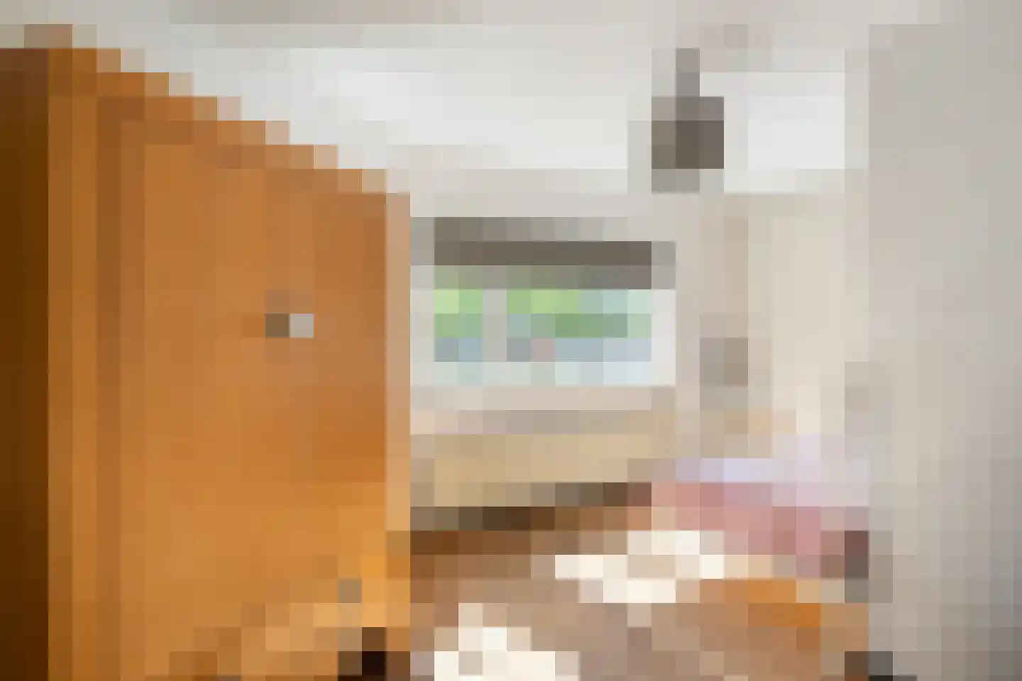 Franciscahof 7 Vlaardingen thumbnail 40