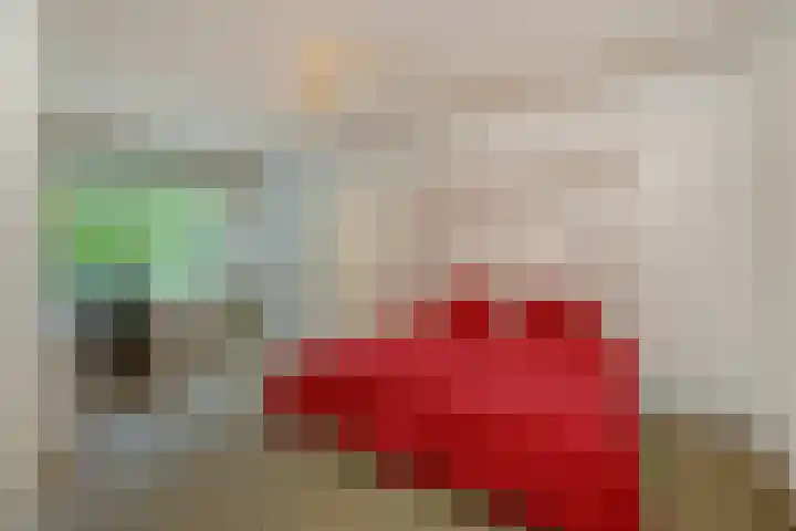 Franciscanenborch 3 Rosmalen thumbnail 20