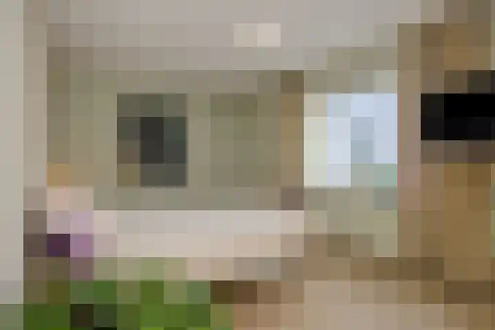 Franciscanenborch 3 Rosmalen thumbnail 22
