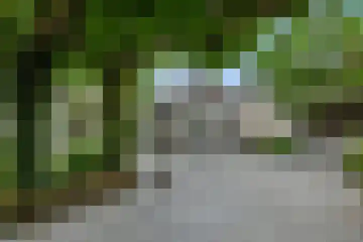 Franciscanenborch 3 Rosmalen thumbnail 31
