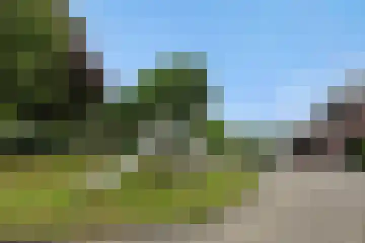 Franciscanenborch 3 Rosmalen thumbnail 40