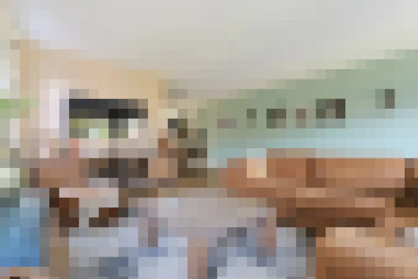 Franciscanenlaan 13 Alphen aan den Rijn thumbnail 19