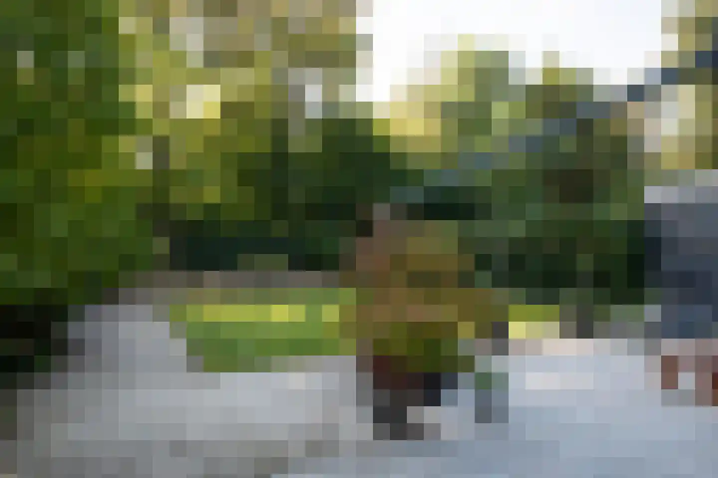 Franciscanenstraat 10 Arnhem thumbnail 31