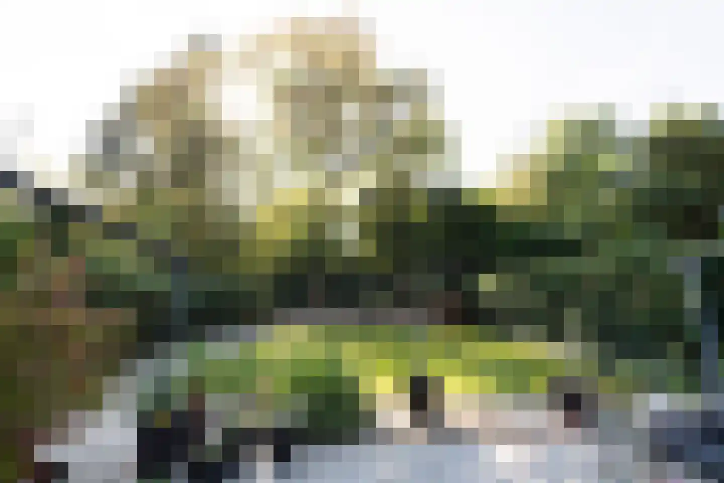 Franciscanenstraat 10 Arnhem thumbnail 32
