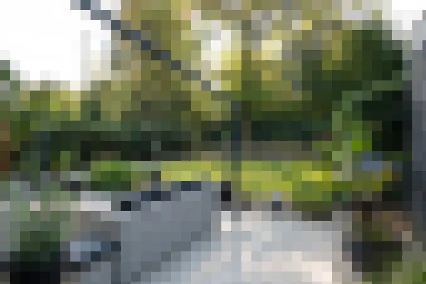 Franciscanenstraat 10 Arnhem thumbnail 33