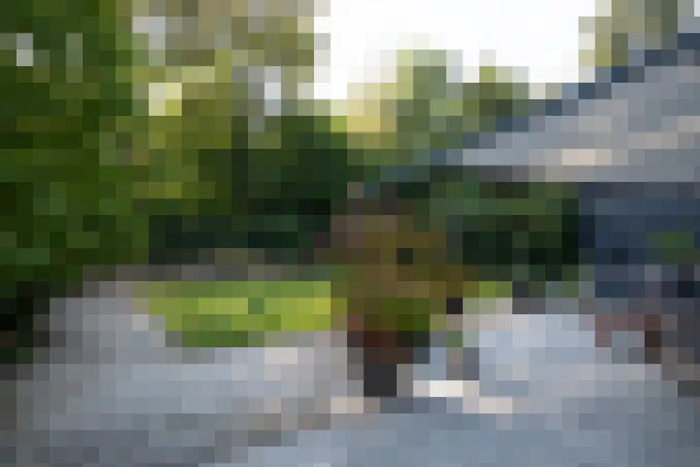 Franciscanenstraat 10 Arnhem thumbnail 40