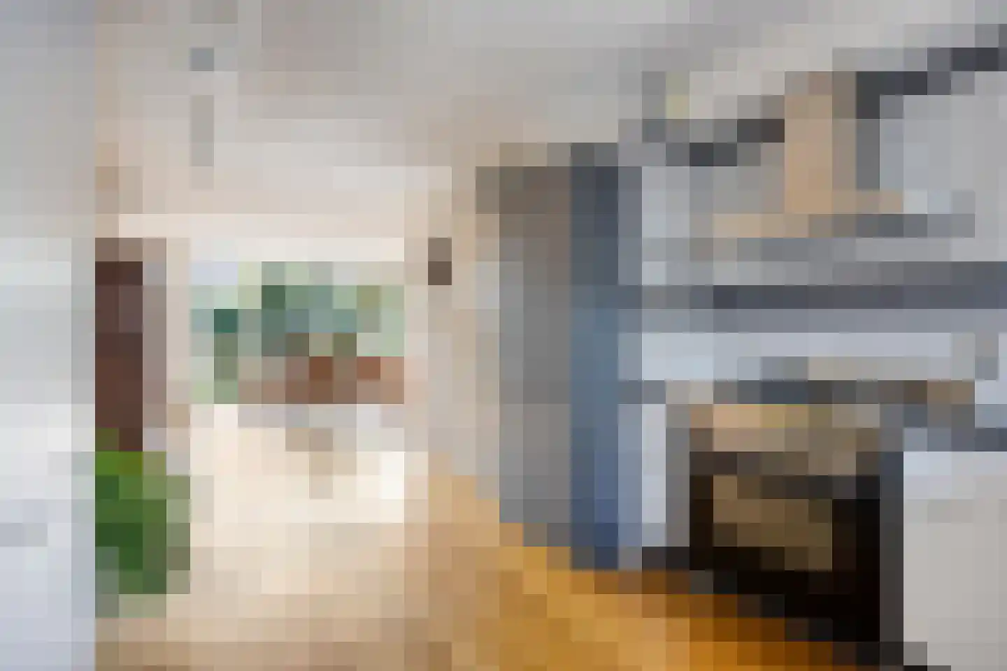 Franciscanenstraat 28 Assendelft thumbnail 18