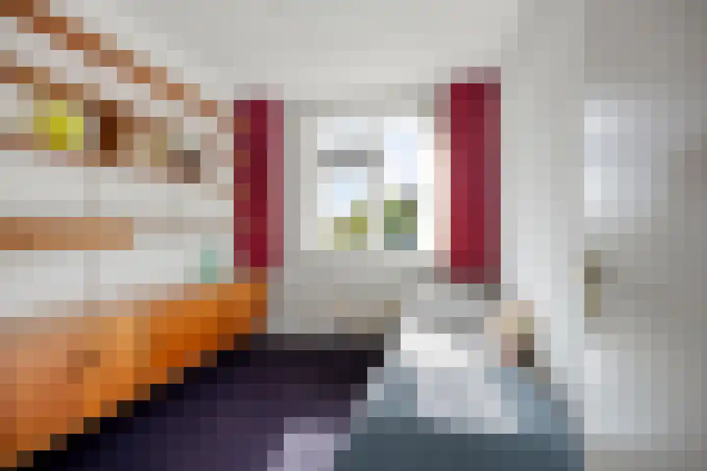 Franciscanenstraat 28 Assendelft thumbnail 26