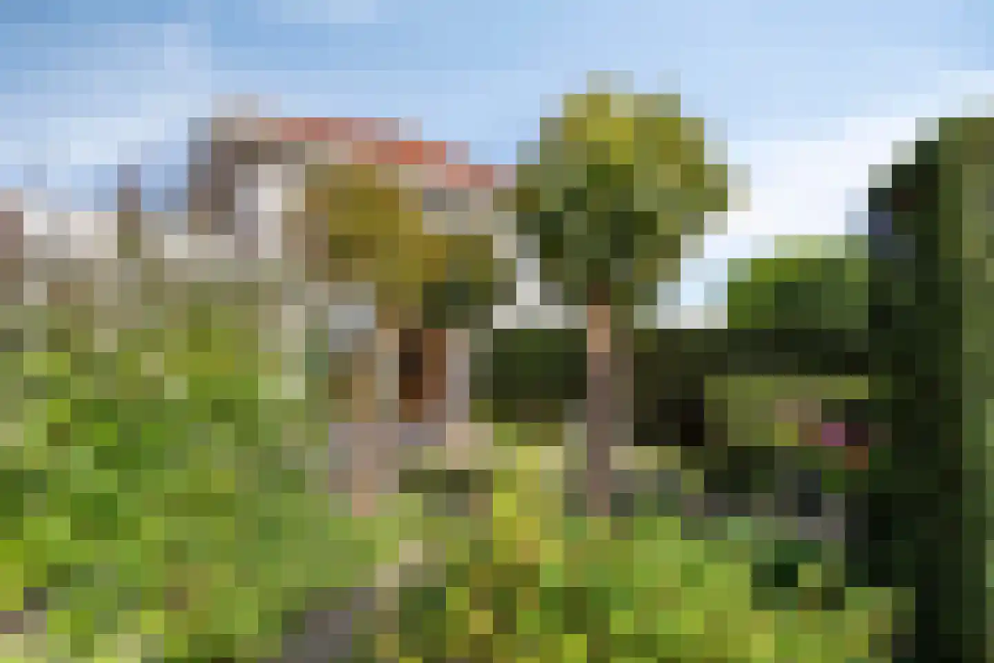 Franciscanenstraat 28 Assendelft thumbnail 45