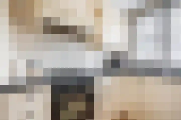 Franciscanenstraat 3 Assendelft thumbnail 18