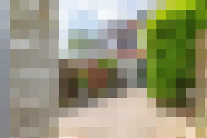 Franciscanenstraat 3 Assendelft thumbnail 35