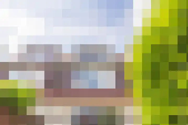 Franciscanenstraat 3 Assendelft thumbnail 37
