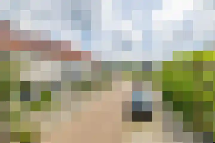 Franciscanenstraat 3 Assendelft thumbnail 42