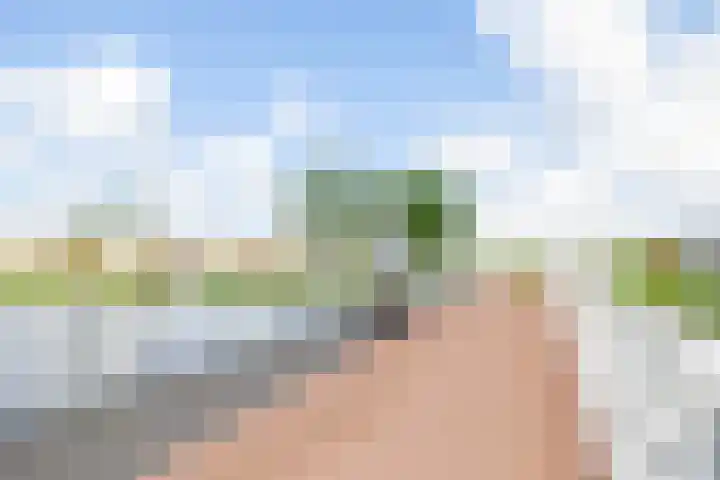 Franciscanenstraat 3 Assendelft thumbnail 5