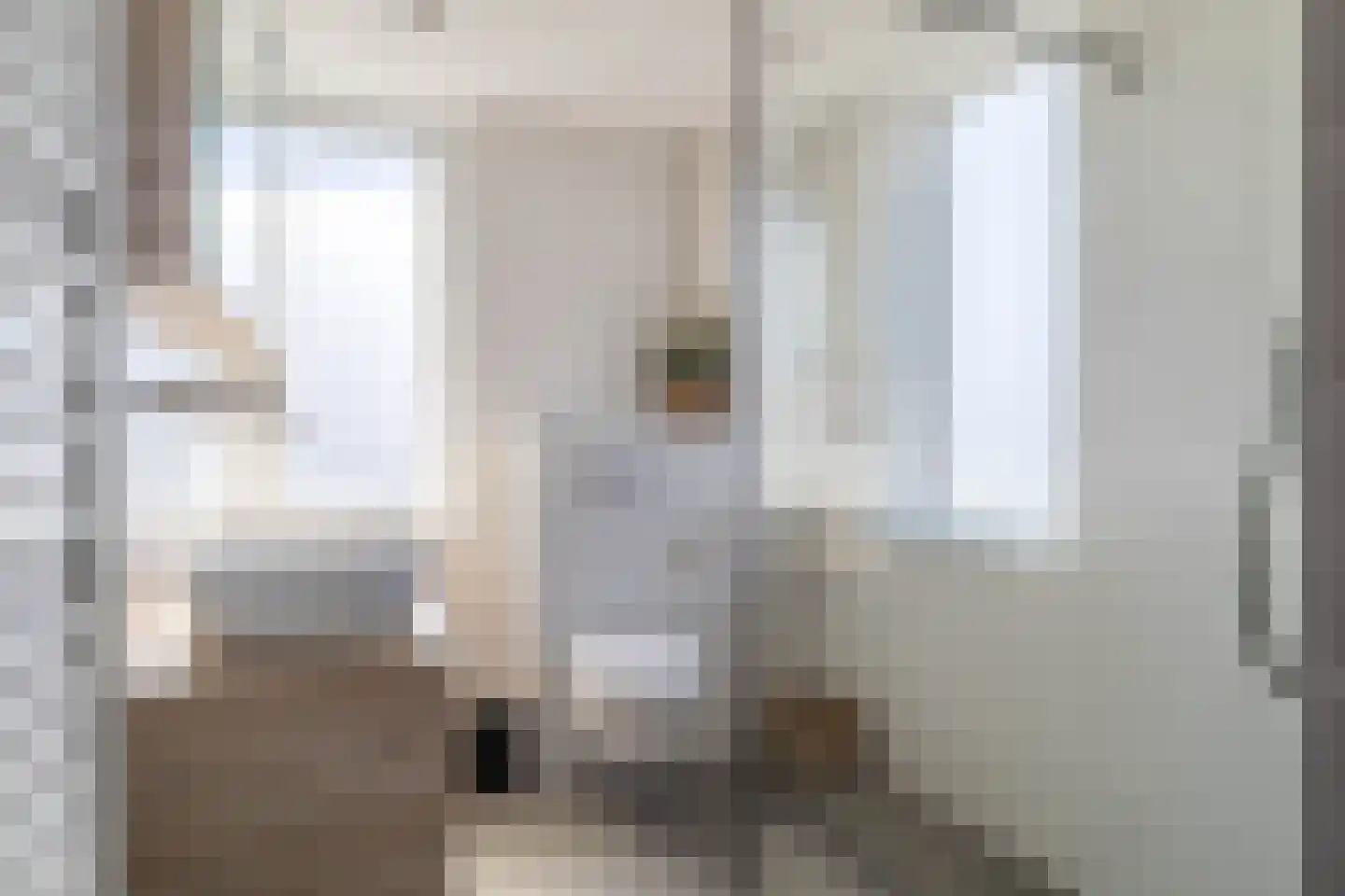 Franciscanenstraat 51 Assendelft thumbnail 4