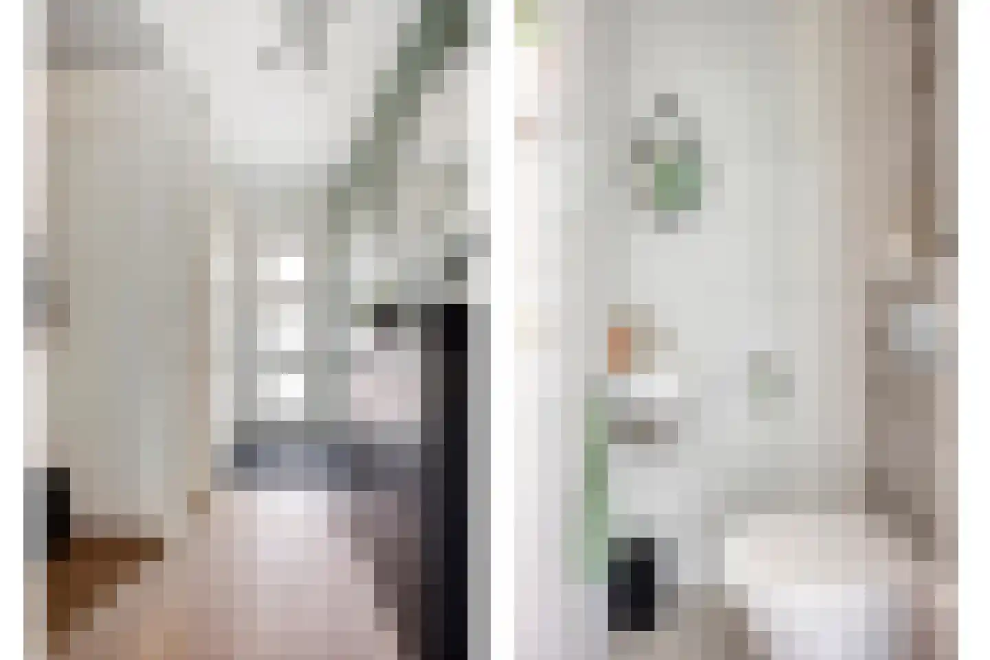 Franciscanenstraat 59 Assendelft thumbnail 7